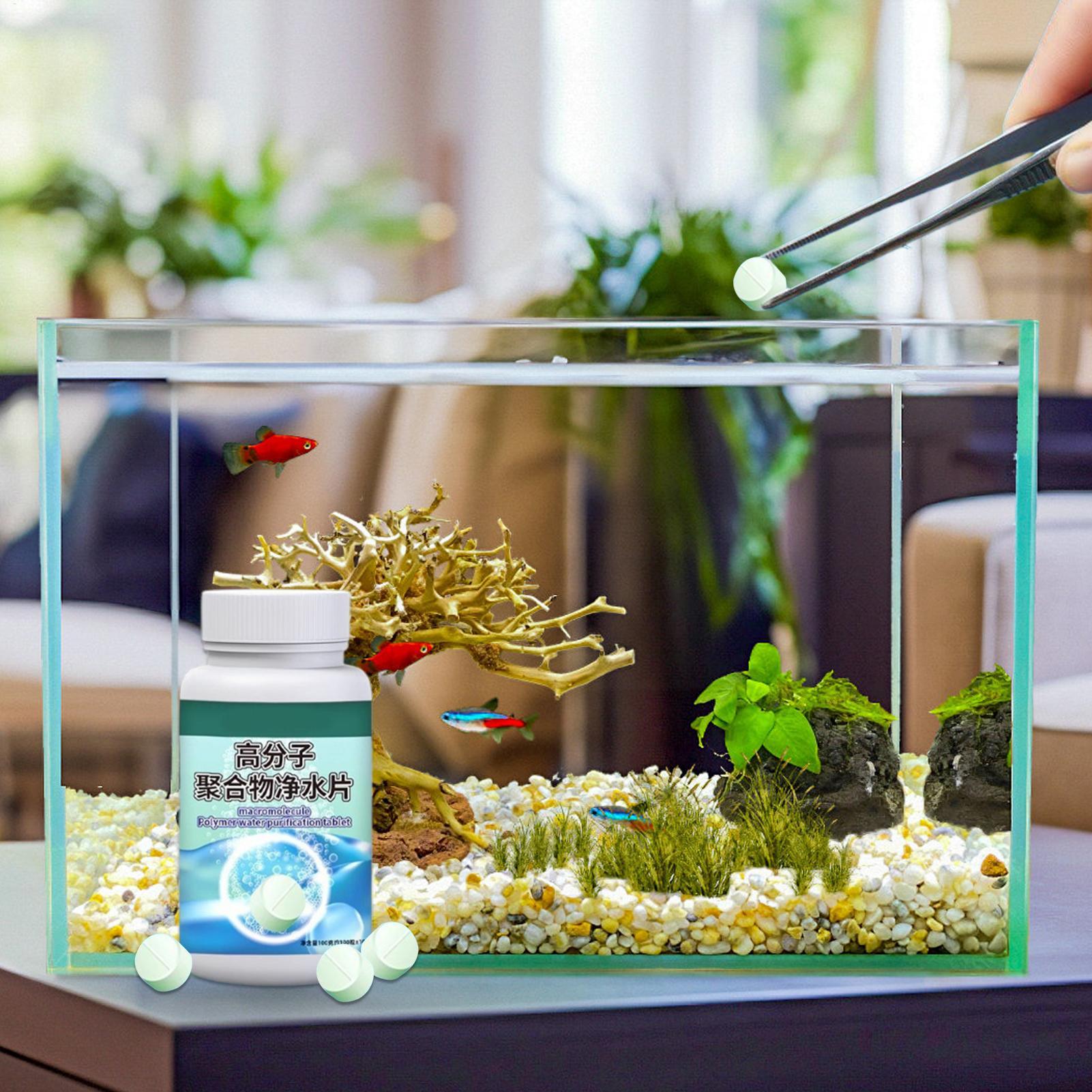Fish Can Algae Remover Aquariu - Water Dish Reptile recension och pris