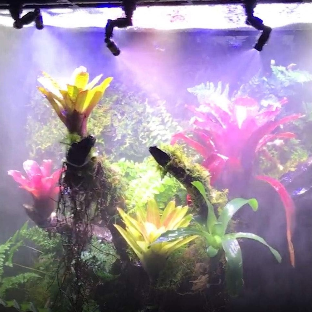 PP Reptile Fogger Black 360° R - Misting Nozzle Reptile recension och pris