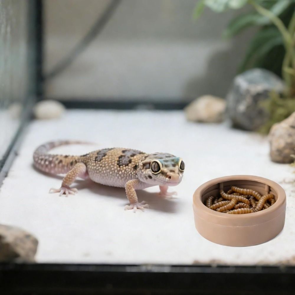 Portable Escape-Proof Reptile  - Water Dish Reptile recension och pris