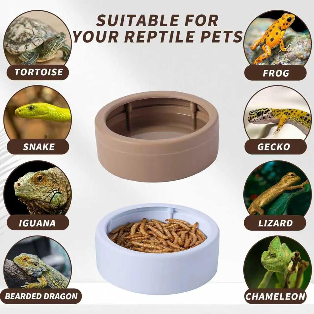 Portable Escape-Proof Reptile  - Water Dish Reptile recension och pris
